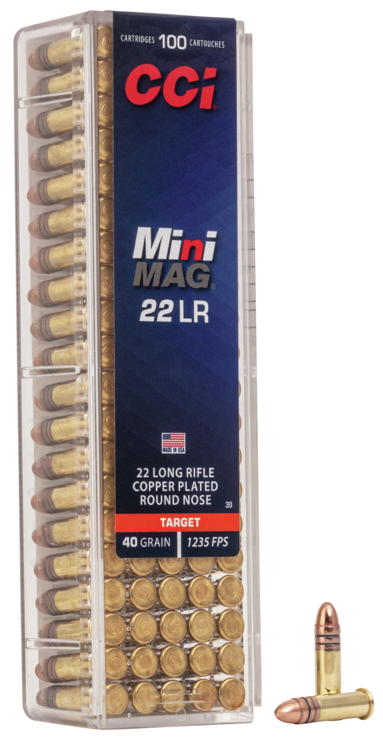 Target Mini-Mag 22 LR